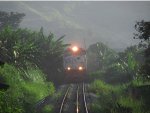 VLI 6021